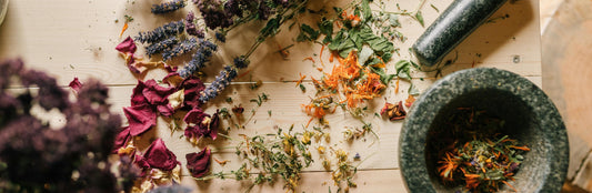 The Timeless Power of Herbal Medicine: A Look at Five Healing Herbs and Teas