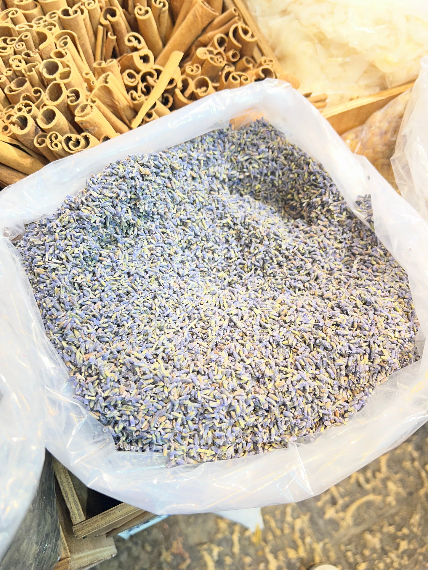 عشبة الخزامى | لافندر Lavender